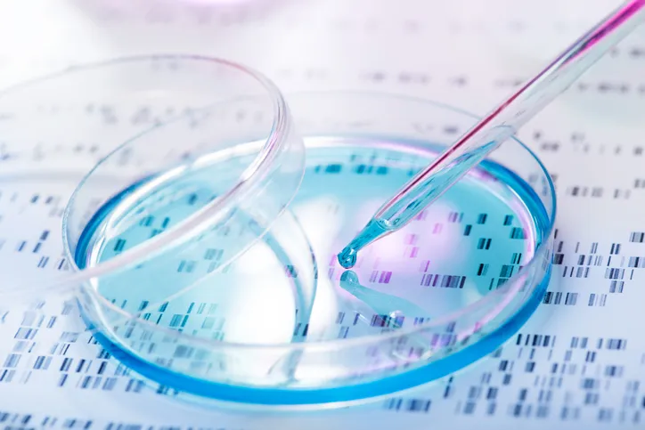 peti dish with culture and pipette