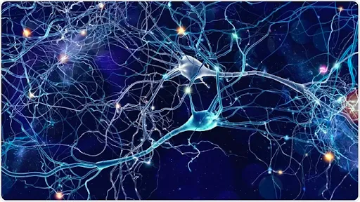 A graphic of a neuron